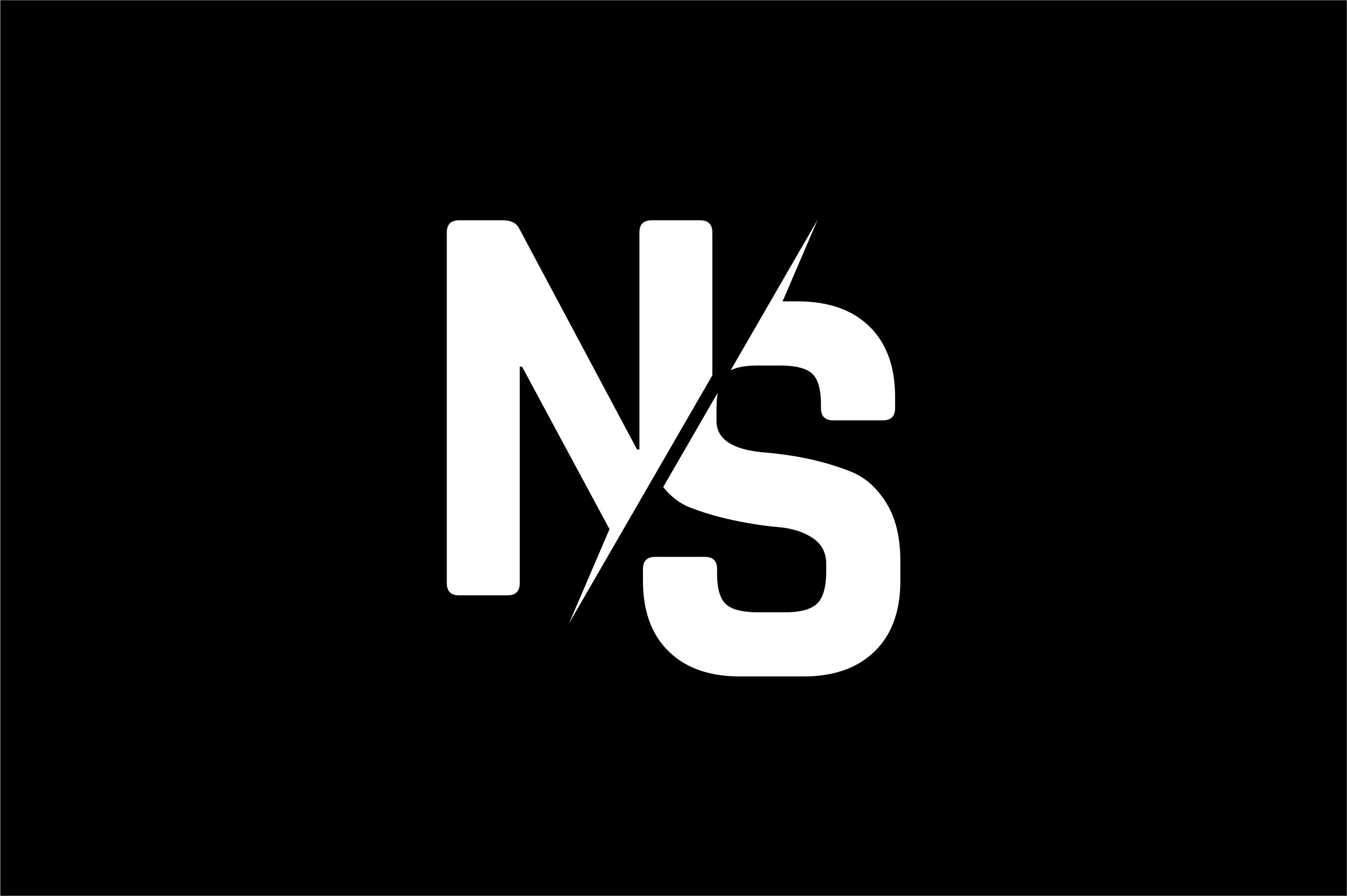 Logo Nils Schlegel